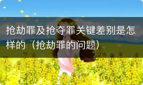 抢劫罪及抢夺罪关键差别是怎样的（抢劫罪的问题）