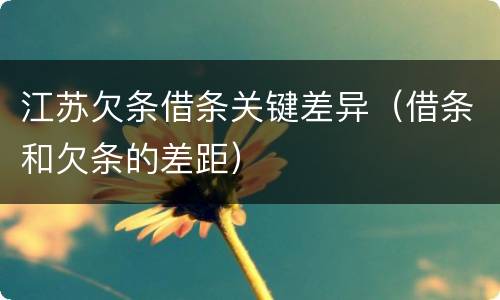江苏欠条借条关键差异（借条和欠条的差距）