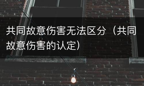 共同故意伤害无法区分（共同故意伤害的认定）
