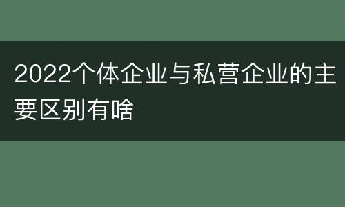 2022个体企业与私营企业的主要区别有啥
