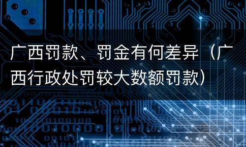 广西罚款、罚金有何差异（广西行政处罚较大数额罚款）