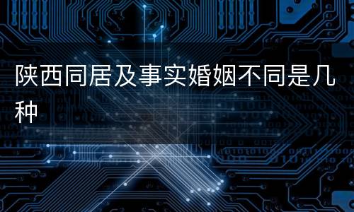 陕西同居及事实婚姻不同是几种