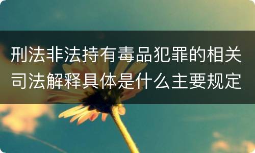 刑法非法持有毒品犯罪的相关司法解释具体是什么主要规定