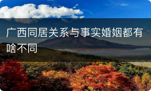 广西同居关系与事实婚姻都有啥不同