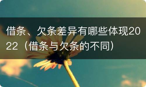 借条、欠条差异有哪些体现2022（借条与欠条的不同）