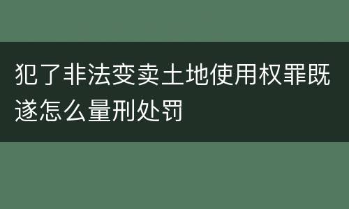 犯了非法变卖土地使用权罪既遂怎么量刑处罚