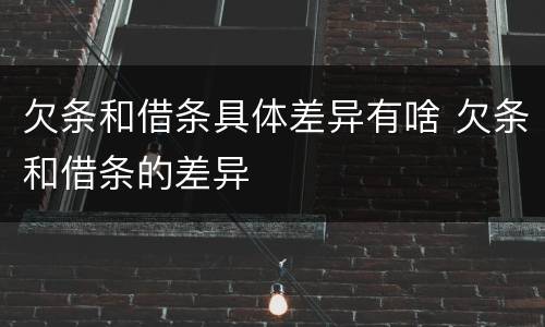 欠条和借条具体差异有啥 欠条和借条的差异