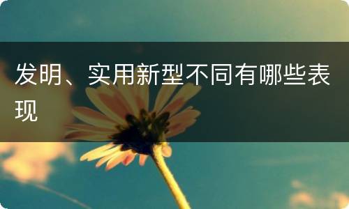 发明、实用新型不同有哪些表现