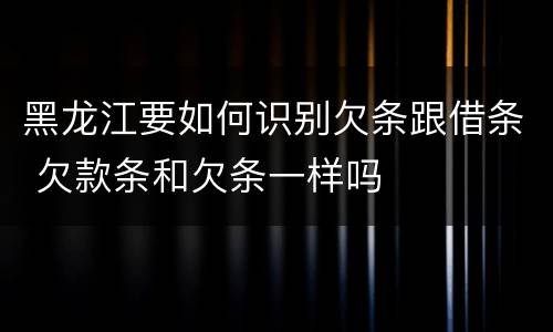 黑龙江要如何识别欠条跟借条 欠款条和欠条一样吗