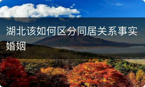 湖北该如何区分同居关系事实婚姻