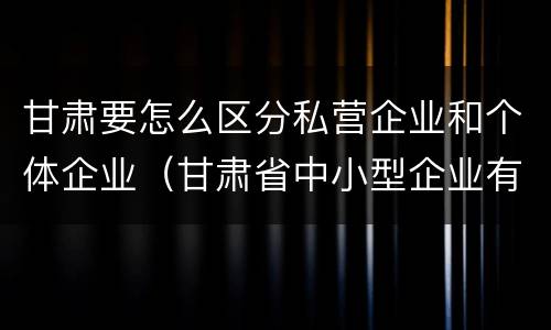 甘肃要怎么区分私营企业和个体企业（甘肃省中小型企业有多少）