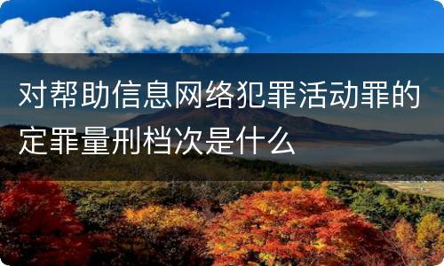 对帮助信息网络犯罪活动罪的定罪量刑档次是什么