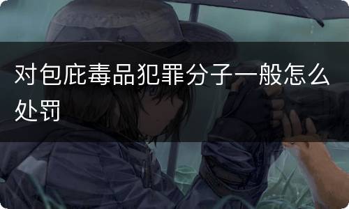 对包庇毒品犯罪分子一般怎么处罚
