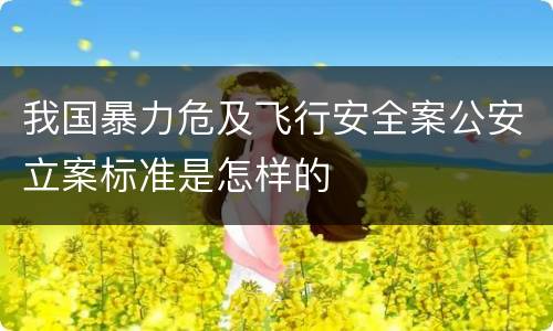 我国暴力危及飞行安全案公安立案标准是怎样的