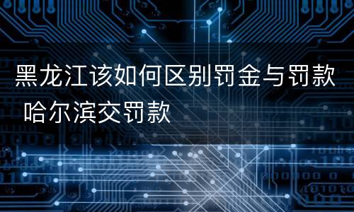 黑龙江该如何区别罚金与罚款 哈尔滨交罚款