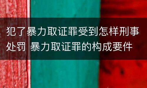 犯了暴力取证罪受到怎样刑事处罚 暴力取证罪的构成要件