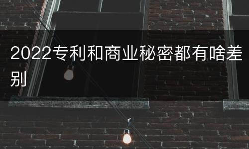 2022专利和商业秘密都有啥差别