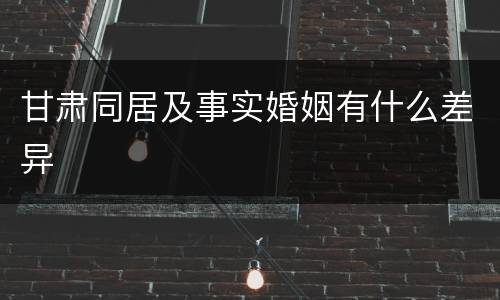 甘肃同居及事实婚姻有什么差异