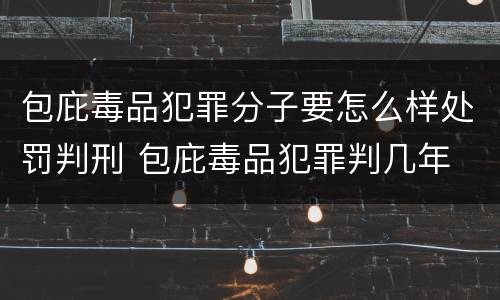 包庇毒品犯罪分子要怎么样处罚判刑 包庇毒品犯罪判几年