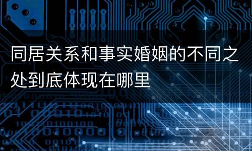 同居关系和事实婚姻的不同之处到底体现在哪里