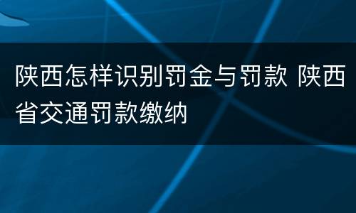 陕西怎样识别罚金与罚款 陕西省交通罚款缴纳