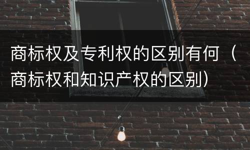 商标权及专利权的区别有何（商标权和知识产权的区别）