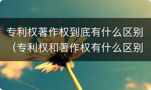 专利权著作权到底有什么区别（专利权和著作权有什么区别）