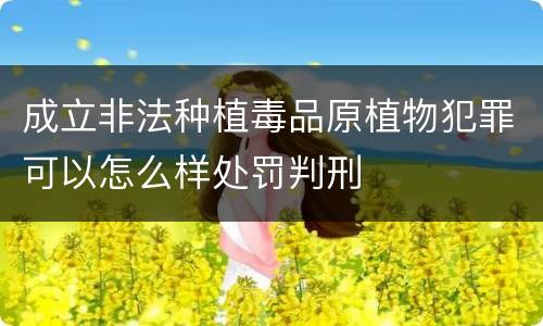 成立非法种植毒品原植物犯罪可以怎么样处罚判刑