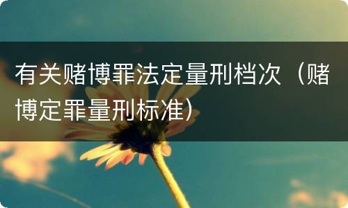 有关赌博罪法定量刑档次（赌博定罪量刑标准）