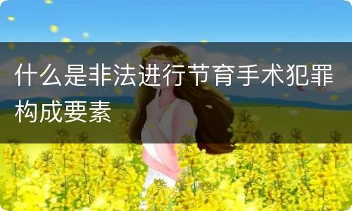 什么是非法进行节育手术犯罪构成要素