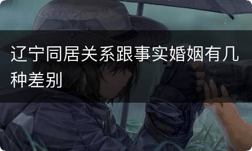 辽宁同居关系跟事实婚姻有几种差别