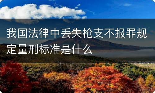 我国法律中丢失枪支不报罪规定量刑标准是什么