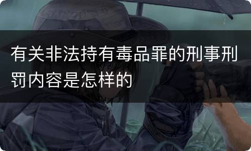 有关非法持有毒品罪的刑事刑罚内容是怎样的