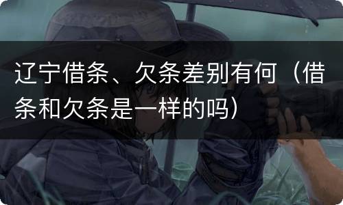 辽宁借条、欠条差别有何（借条和欠条是一样的吗）