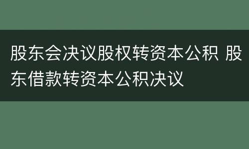 股东会决议股权转资本公积 股东借款转资本公积决议