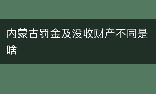 内蒙古罚金及没收财产不同是啥