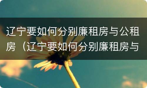 辽宁要如何分别廉租房与公租房（辽宁要如何分别廉租房与公租房呢）