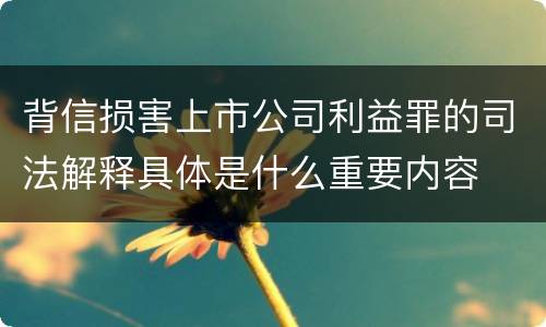 背信损害上市公司利益罪的司法解释具体是什么重要内容