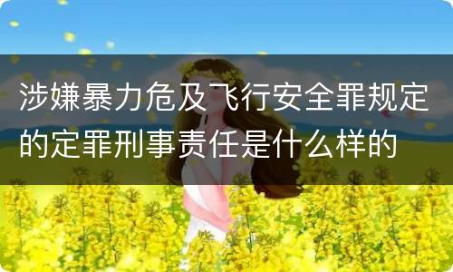 涉嫌暴力危及飞行安全罪规定的定罪刑事责任是什么样的