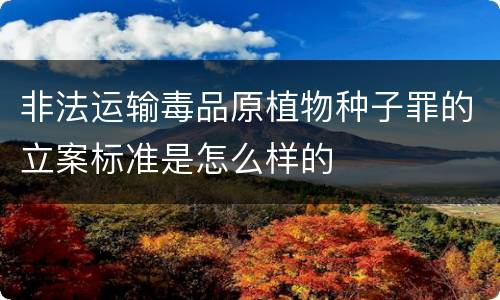 非法运输毒品原植物种子罪的立案标准是怎么样的