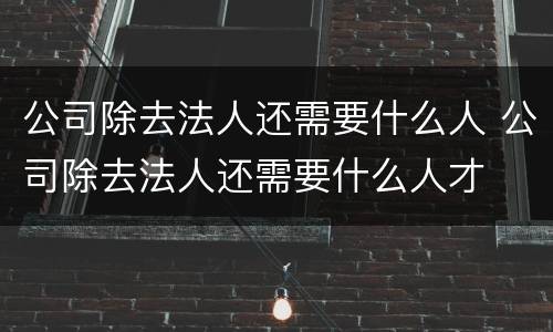 公司除去法人还需要什么人 公司除去法人还需要什么人才
