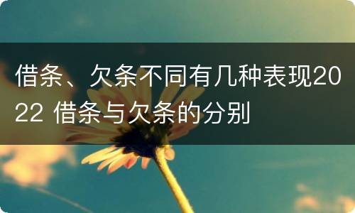 借条、欠条不同有几种表现2022 借条与欠条的分别