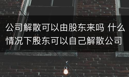 公司解散可以由股东来吗 什么情况下股东可以自己解散公司