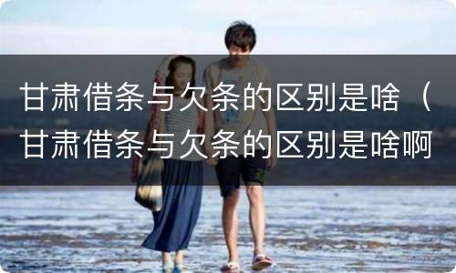 甘肃借条与欠条的区别是啥（甘肃借条与欠条的区别是啥啊）