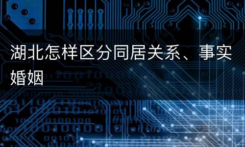 湖北怎样区分同居关系、事实婚姻