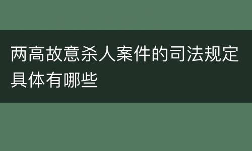 两高故意杀人案件的司法规定具体有哪些