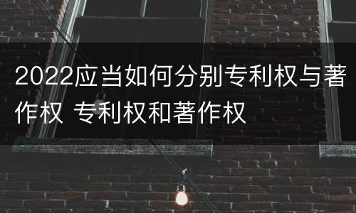 2022应当如何分别专利权与著作权 专利权和著作权