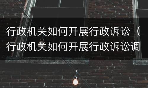 行政机关如何开展行政诉讼（行政机关如何开展行政诉讼调解）