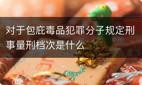 对于包庇毒品犯罪分子规定刑事量刑档次是什么