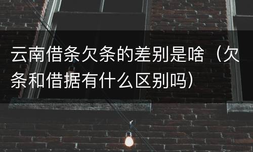 云南借条欠条的差别是啥（欠条和借据有什么区别吗）